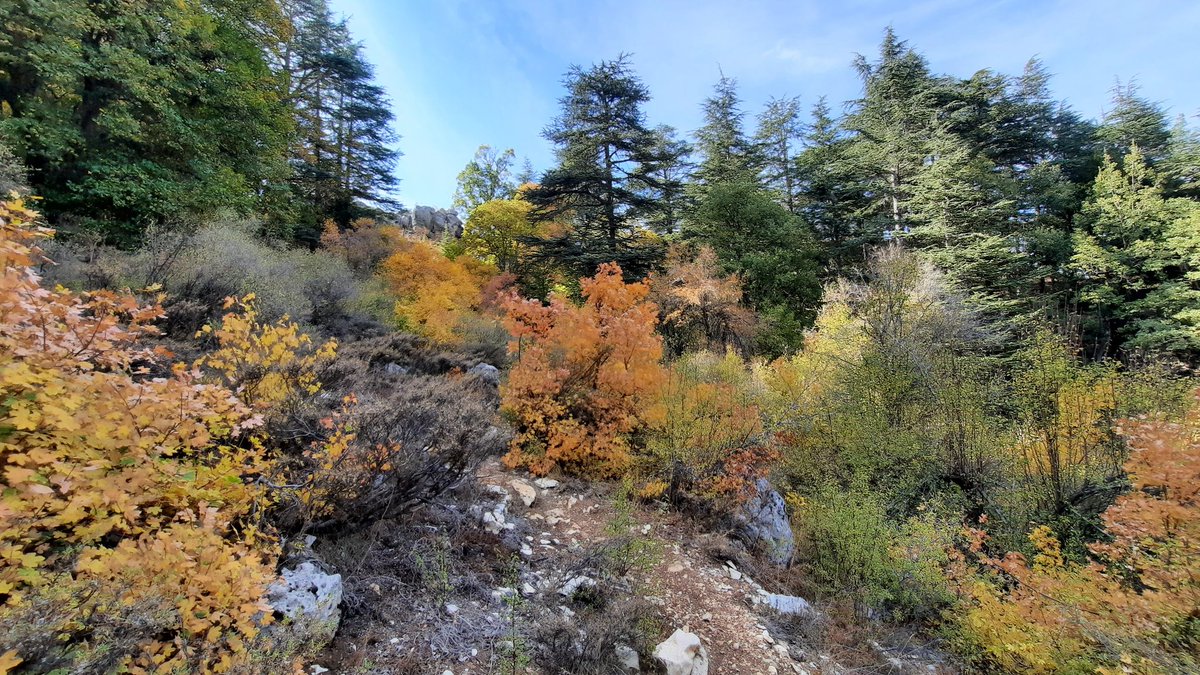 abbadez's tweet photo. Ehden autumn. https://t.co/qux6gMN7rK