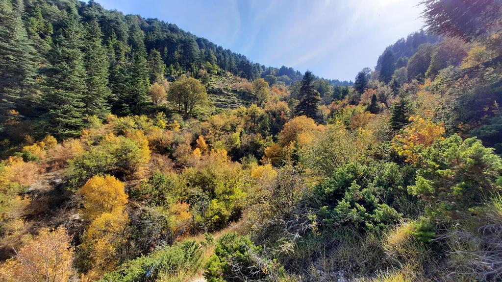 abbadez's tweet photo. Ehden autumn. https://t.co/qux6gMN7rK