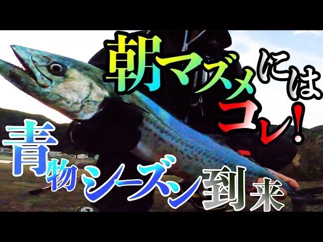 Bar00747261's tweet photo. この間サワラ釣ったんですよー！
是非ご覧ください！

めちゃ楽しかった😊

【ショアジギング】青物シーズン到来！巻いてるだけで釣れるジグがこれ！
https://t.co/zftwFKIK0p https://t.co/htDeRXTNdM
