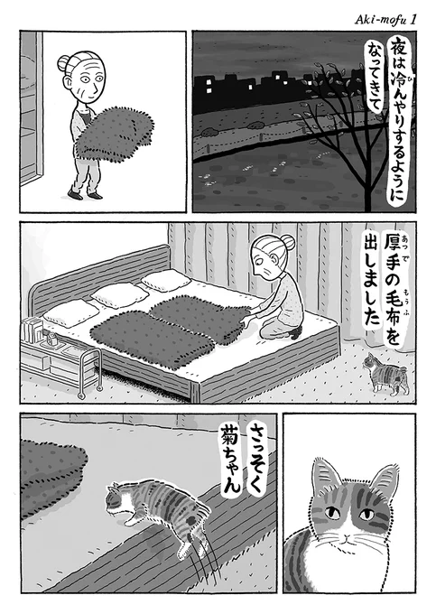 3ページ猫漫画「毛布を出したら」 #猫の菊ちゃん 