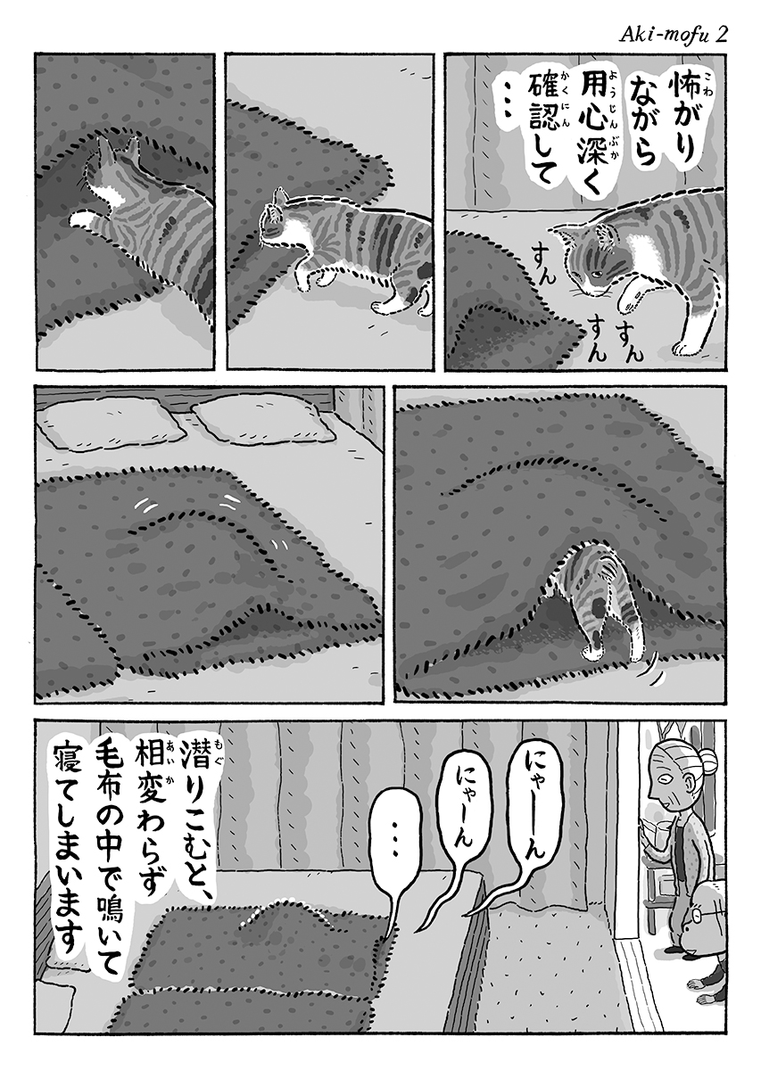 3ページ猫漫画「毛布を出したら」 #猫の菊ちゃん 