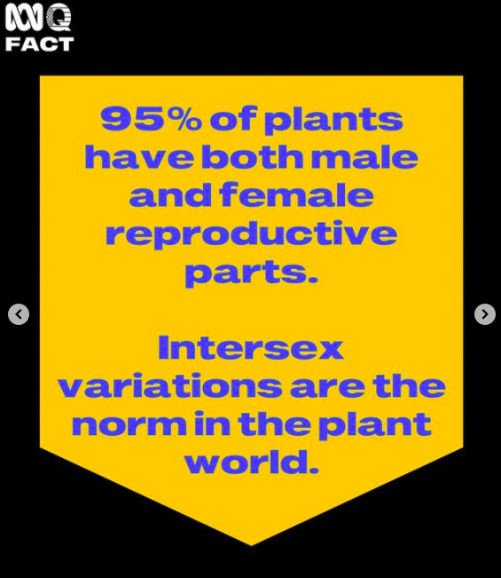KowalskiKit's tweet photo. Science denial from @ABCaustralia
Plants are not the same as "intersex variations" in humans.
#ABCBias #GC_AUS #StopPoliticisingIntersex
https://t.co/rGeRf2Hmd9 https://t.co/q5IwT3DDim