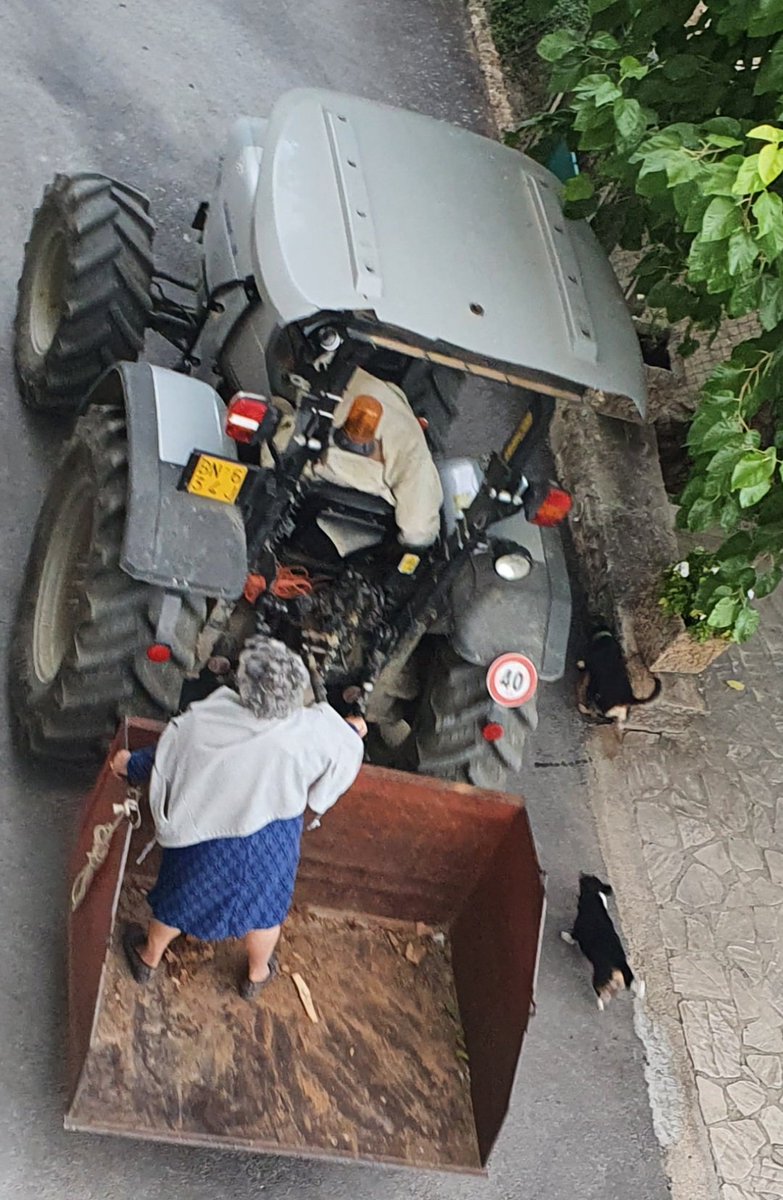 Apparently there's a pecking order for travel in these parts. #umbria