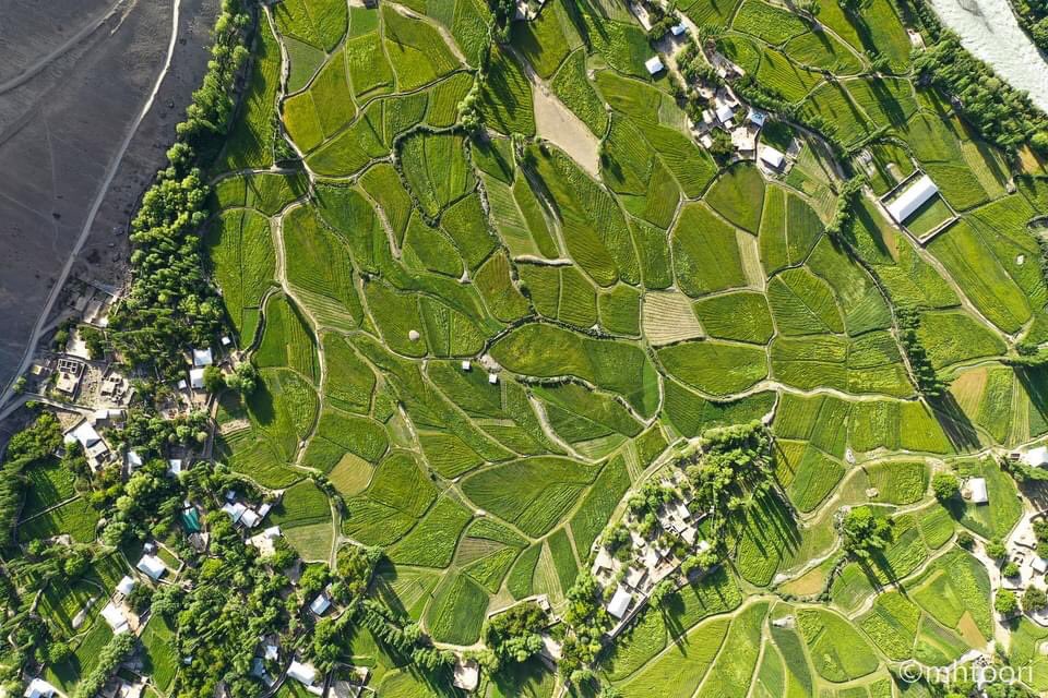 ChitralPK's tweet photo. Aerial view of Laspur Valley- Upper Chitral
📷 @muzamil_toori
#ColoursofPakistan #Chitral #BeautifulPakistan https://t.co/GsBWhxGVyA