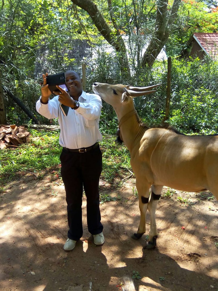 An Eland posing for a selfie. One of my favourite wild animal. Let us protect and conserveour resources for all generations at all costs.