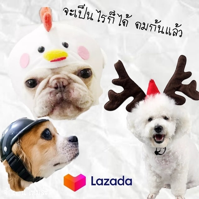 jumpenmaila's tweet photo. หมวกนี้ท่านได้แต่ใดมา.......🧢🪖⛑️
รวมหมวก ที่ทาสควรต้องมี ใส่ให้เหล่า
   เจ้านายอันเป็นที่รักยิ่ง!!!🙌🙌🙌🙌
🐶🐱🐔🐺🦊🦝🐵🐮🐷🐭🦏🐰🐻🐻‍❄️🐼🐨

ลิงค์โพสรวมลิงค์
https://t.co/SNPfR2aVDg
_________________

ส่วนลด​ค่าน้ำค่าไฟ มาแล้ว​ อย่าลืมเก็บกันนะ⚡⚡
https://t.co/BAjIk5O50y https://t.co/OjEPaMtUwT