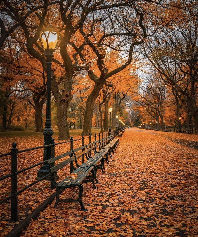 Le Média Positif 🍀 tweet media