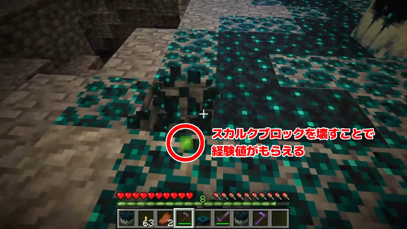 砂利馬 変換されたスカルクブロックは壊すことで経験値を落とします この特性をうまく利用すれば 経験値を稼ぐ何らかの機構を作ることができそうです また スカルクカタリストは光源ブロックで 壊すことで自身も経験値を落とします T Co