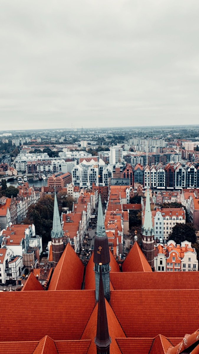TamzinSwann's tweet image. Visiting Gdańsk - all the food from a £5 return flight ✈️

throughneweyesx.com/2021/10/visiti…

#travelblogger #neblogger
