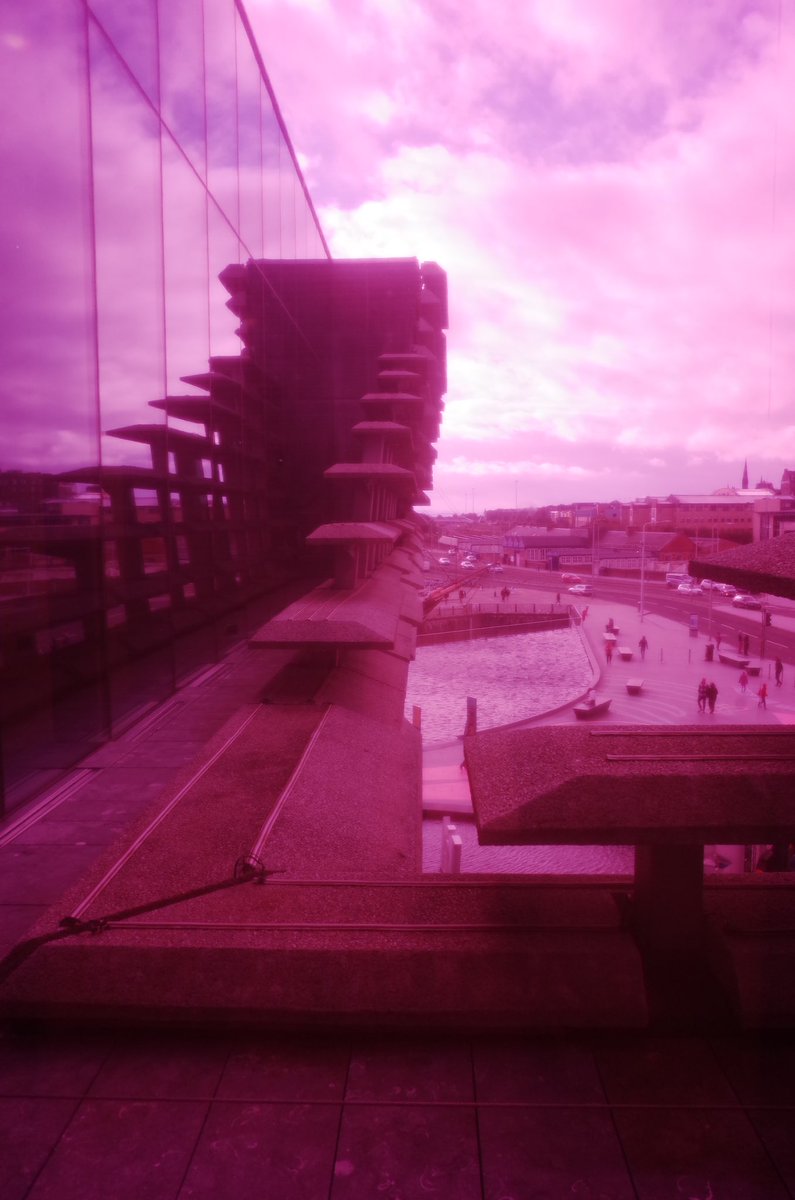 J Liang (@joiseliang) on Twitter photo 