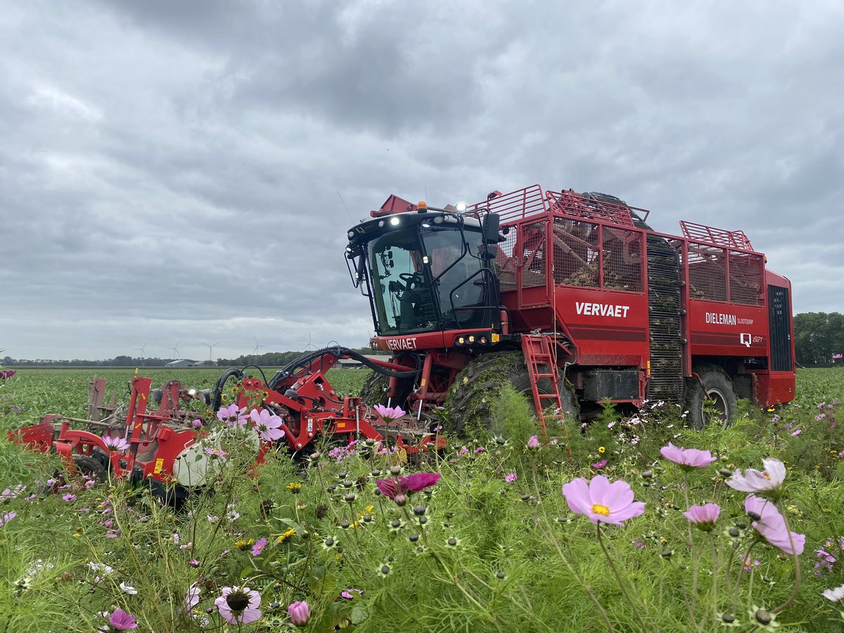 BramDieleman's tweet photo. Drukke dagen in de bieten. Samen met Jannard Dieleman 15 jaar jong. De herfstvakantie kan niet mooier beginnen.  Bietenrijden met een fendt 936 en dikke 3 asser. https://t.co/oI8HktHyvq