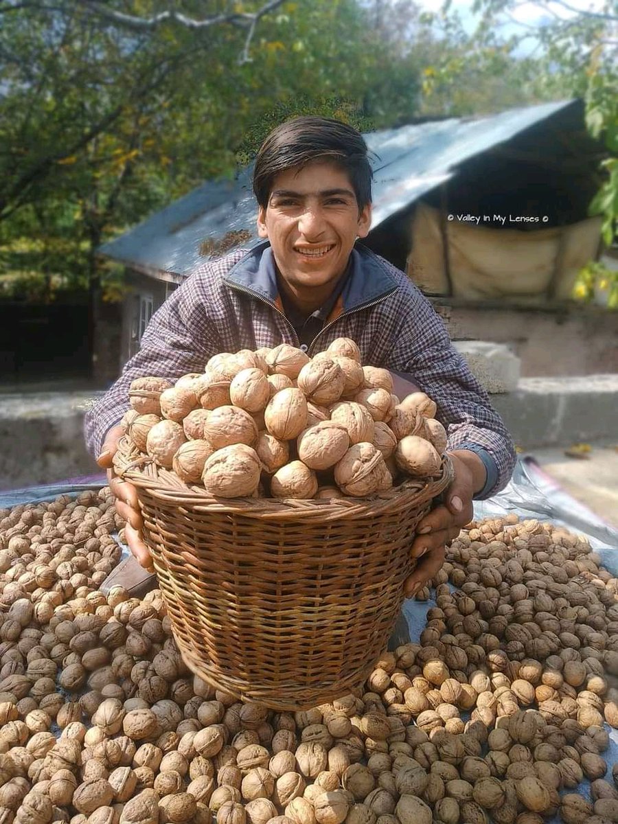 #Kashmiri_Walnuts...

we can send parcel to any place in India.

Kindly Inbox us Your Order....