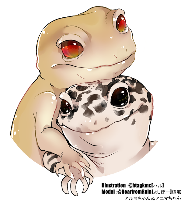 レオパードゲッコーのtwitterイラスト検索結果