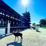 ツイートに含まれる画像