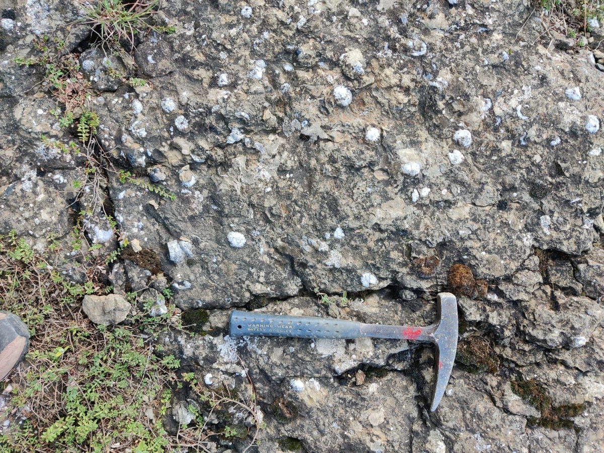 sclsrinagar's tweet photo. Guryul Ravine at Khonmoh is an extremely important geological heritage.The site is a treasure house of fossil & geological information of the PERMIAN-TRIASSIC period. Srinagar Smart City & Environmental Policy Group are working on developing the PERMIAN TRIASSIC FOSSIL PARK! https://t.co/4k33BF61nd