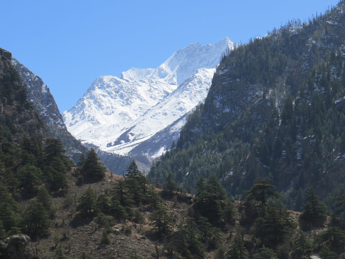 ITBP_official's tweet image. Images from the #Himalayas

Pictures by ITBP personnel

#Himveers