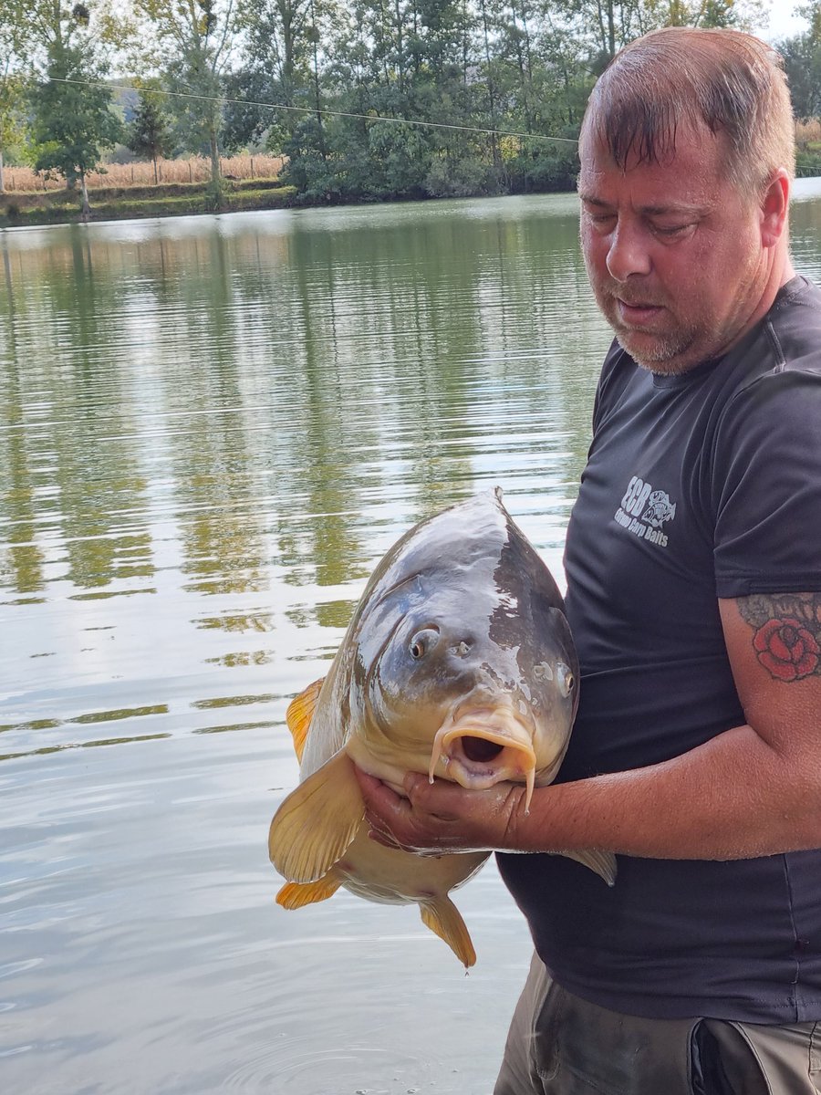 ecbaits's tweet image. 