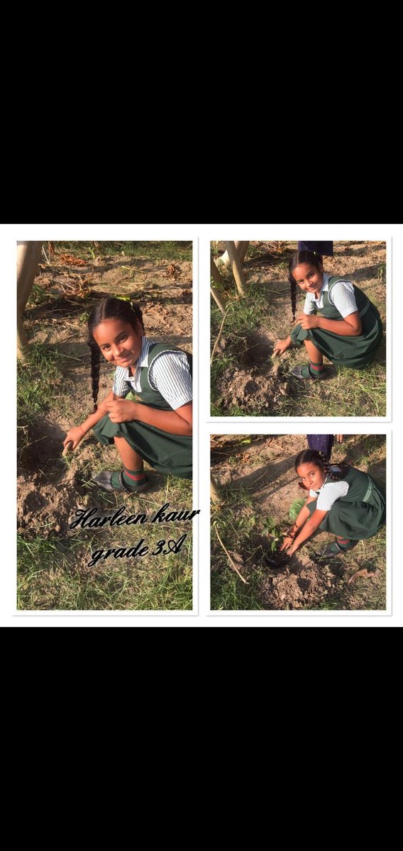 Grade-III Climate action project We joined #PlantED and did a tree planting at plant-ed.net! How about you? Let's change the world for the better.  plant-ed.net/plant/saved <a href="/raminde94301780/">Raminder</a> <a href="/Prabhjo60556013/">Prabhjot Gill</a> 
<a href="/STSWSRAJGOMAL/">S.T.S. World School (Official)</a> <a href="/ClimateActionED/">Climate Action Project</a> <a href="/cbseindia29/">CBSE HQ</a>