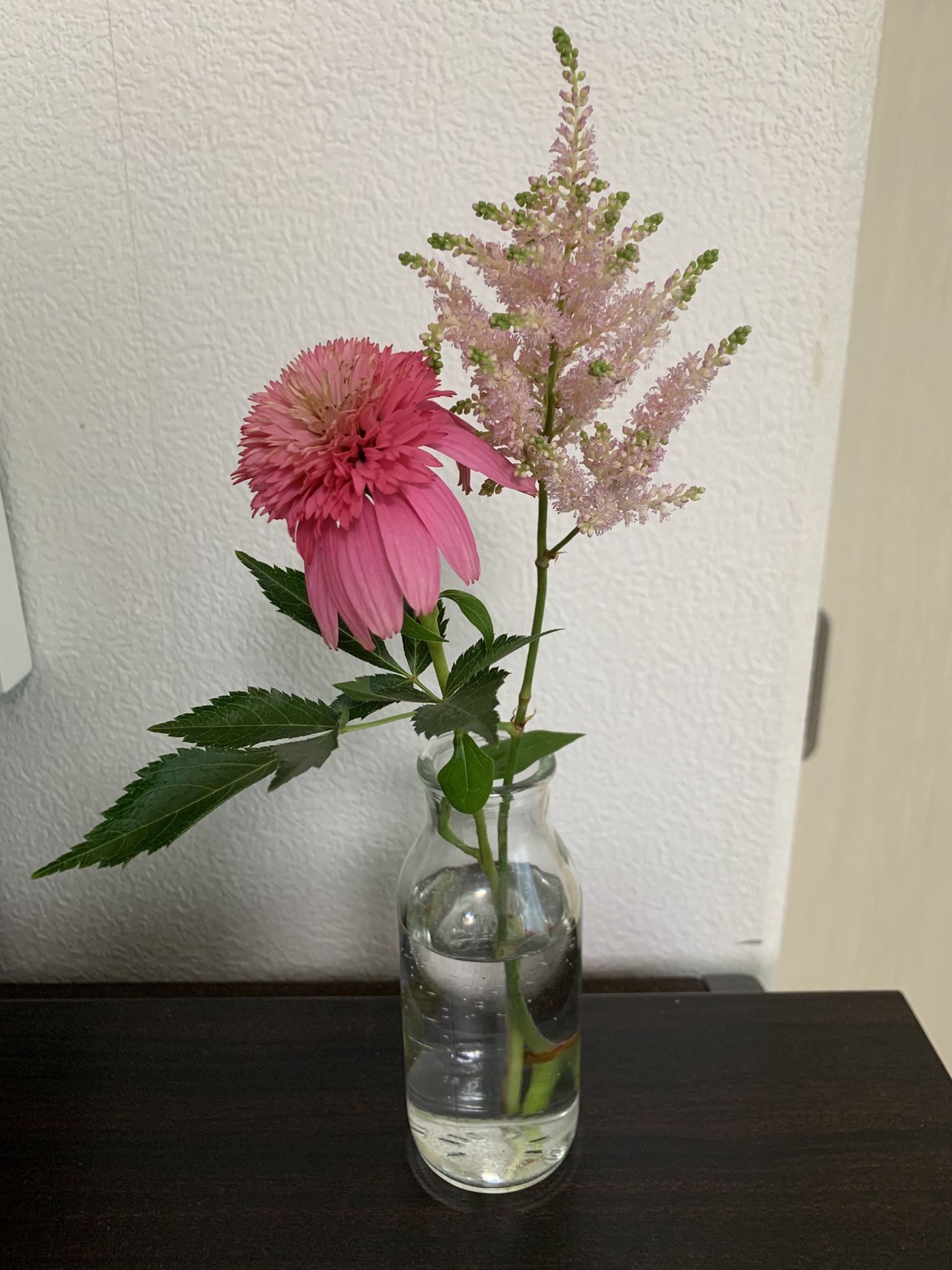 花のしたく Twitter Search Twitter