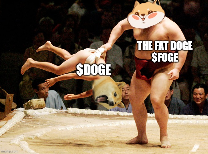 Don Frogelione tweet media