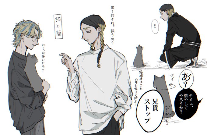 猫と蘭 