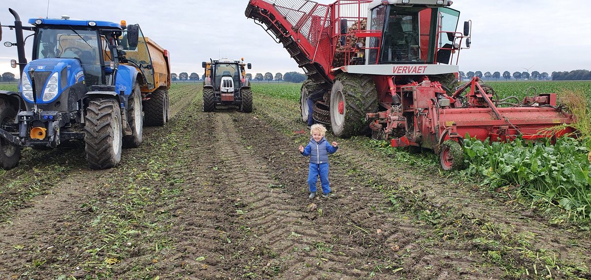 RijkJoost's tweet photo. Als allebei je opa's boer zijn, is het vaak twee dagen #weekendboeren 👨‍🌾 Deze grond is pas 52 jaar landbouwgrond, daarvoor was het zee. Hoe zou het er over 52 jaar uitzien? https://t.co/F98ABCsmiL