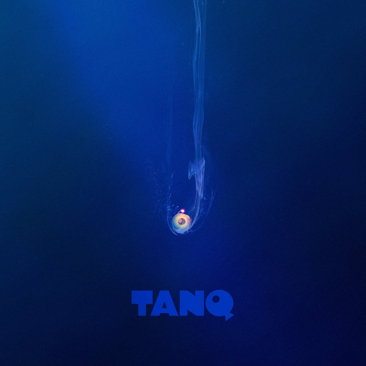 Welcome to TANQ. A.I / N.FT / Aquaverse. Coming soon.