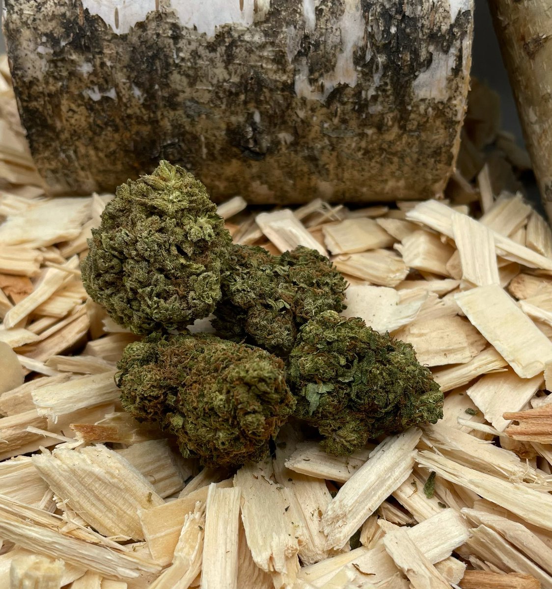 supermicha86's tweet photo. Sour Tangie - Indica
 
ist eine sehr kompakte CBD Blüte. Dunkel grüne Knospen mit hell orangenen Fäden. Geschmacklich ein Test wert. Fruchtig sauer, süß, alles dabei. Sehr schönes Geschmackserlebnis.
CBD Blüte mit ca. 3% CBD Gehalt

https://t.co/3BxIuBZsb0 https://t.co/fj6i9VpHuc
