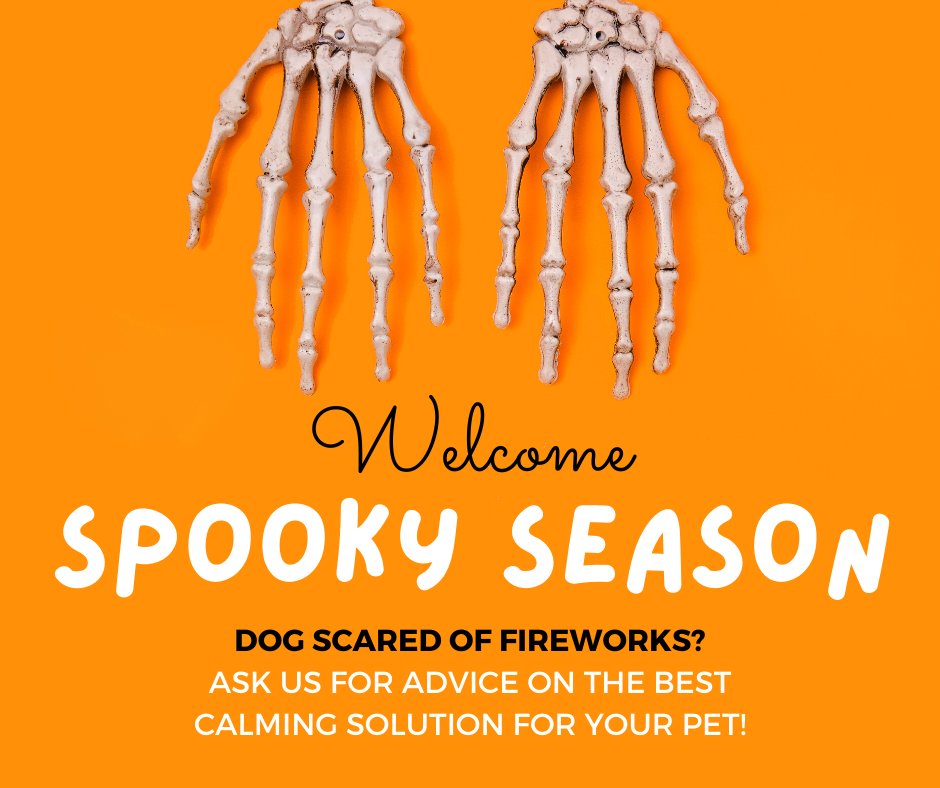Pet_Connection's tweet image. It's #SpookySeason! Great fun for the humans, not so much for the dogs. If your pup is a little nervous when they hear fireworks, give us a shout and we'll advice on the best calming solution for your individual pet 🐾

Check out our calming range at petconnection.ie/fireworks 👻