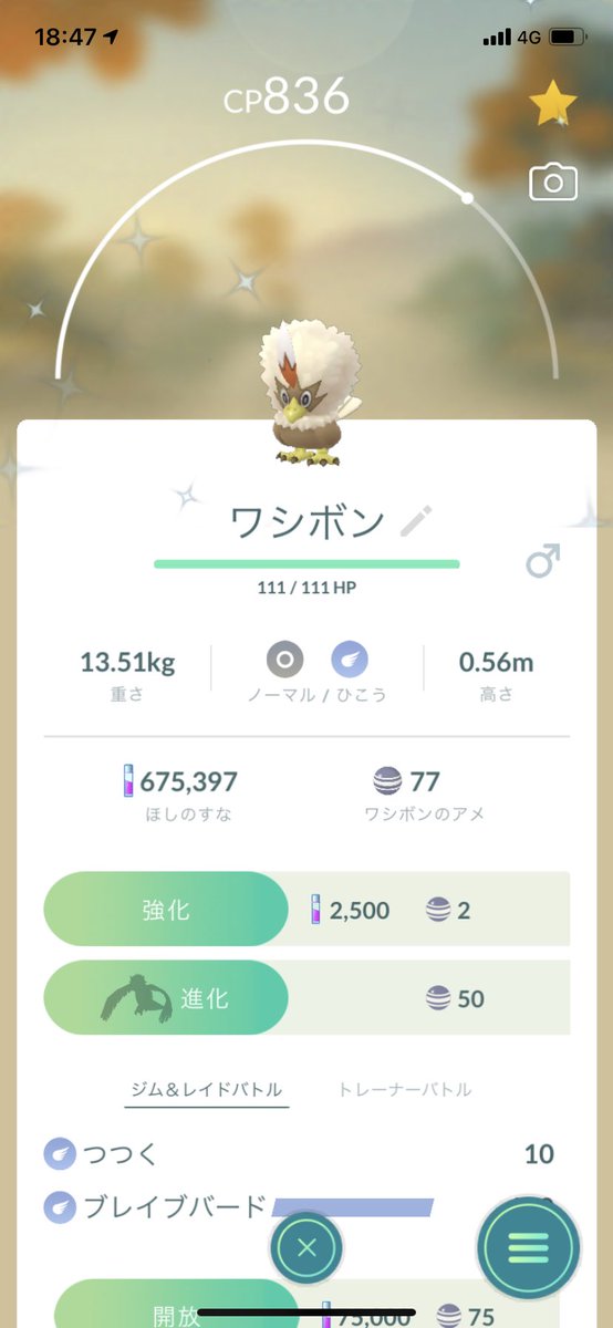 ポケモンgo ワシボンの色違い 入手方法と実装状況 攻略大百科 ポケモンgo ワシボンの色違い 入手方法と実装状況 攻略大百科
