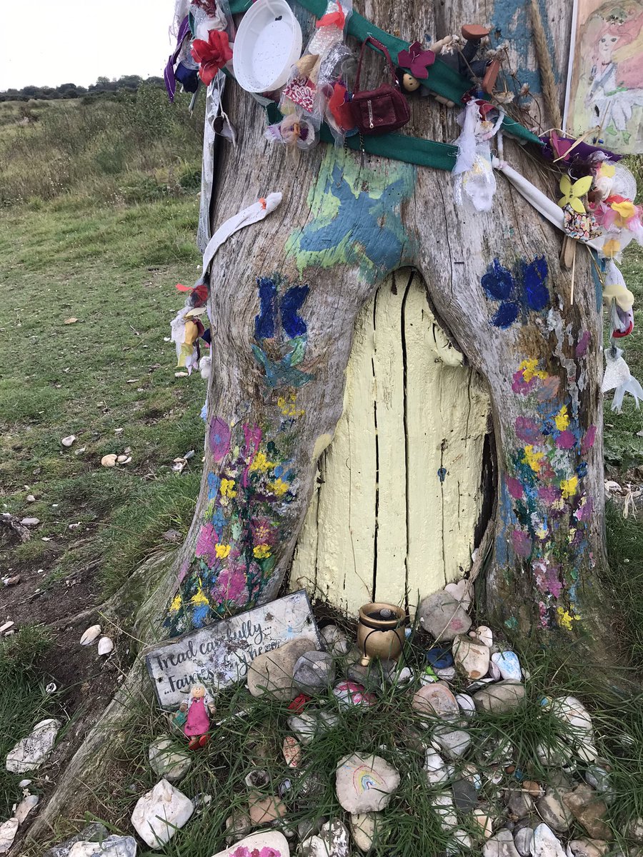 Zakitina_Lily's tweet photo. Just popped out to the #Duver #isleofwight very calm and peaceful this morning the tree although a shadow of its former self is beautifully decorated  @VisitIOW @jaymar6665 @VisitSouthEast https://t.co/hWbpVJF7fk