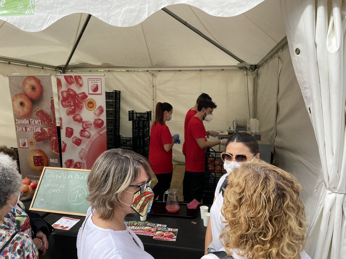 AgrocompostGVA's tweet photo. Nada mejor que un zumo de granada molar de Elche para un domingo detox @ajuntamentelx @GVAagroambient en la Fireta https://t.co/j9bfIKutHo