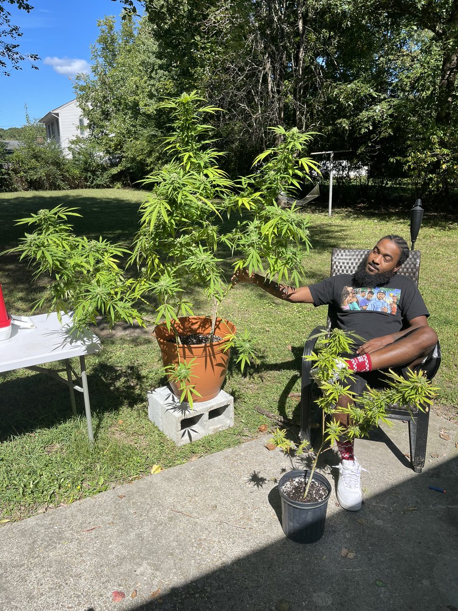 always_chelle13's tweet photo. It took a while for him to find something he’s really passionate for. I’m glad he did an exceeded all expectations. 20 more plants to go 💚 #BeforeTheCutDown #HomeGrown #FruitTella https://t.co/wWKNEQlbgu
