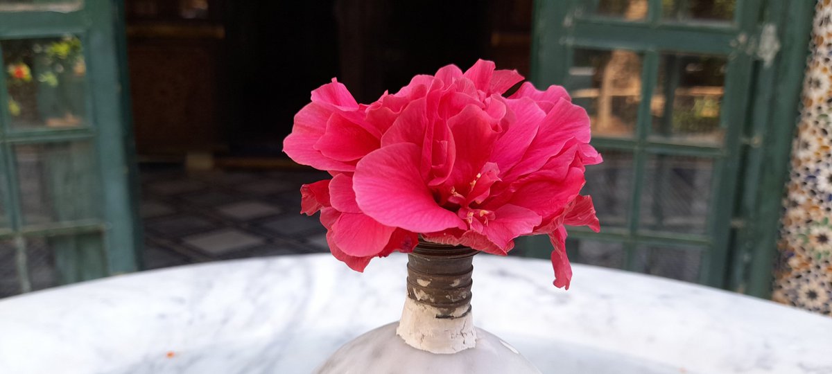 Marrakech  🇲🇦

@Sostraveluk