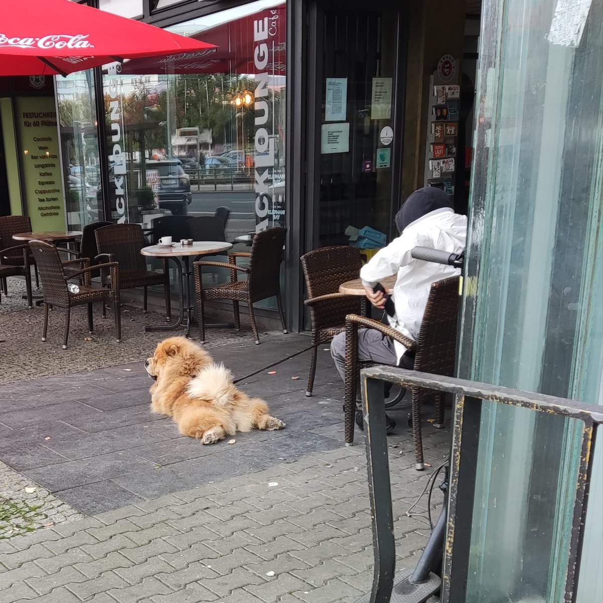 AbdulAlhazared's tweet photo. Il lassismo totale dei chowchow #canetti #culetti https://t.co/CSznyIwlvd
