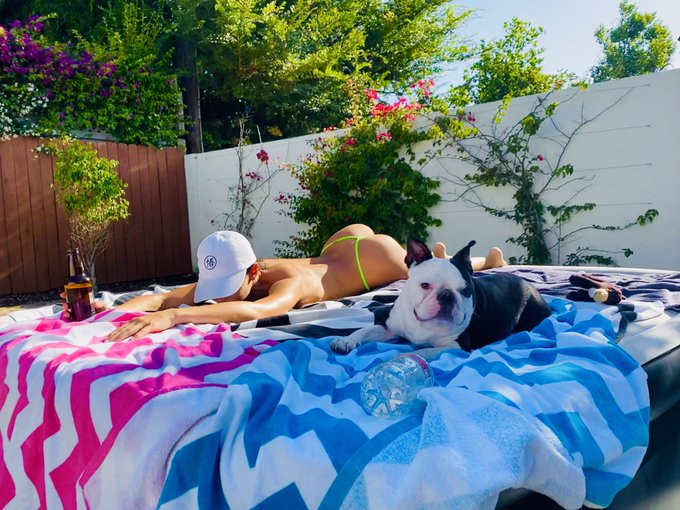 Grateful af for this little guy, especially at night. I have some of the worst insomnia and still get<a href="/tag/mondaymotivation"class="tags"><span>#mondaymotivation</span></a>