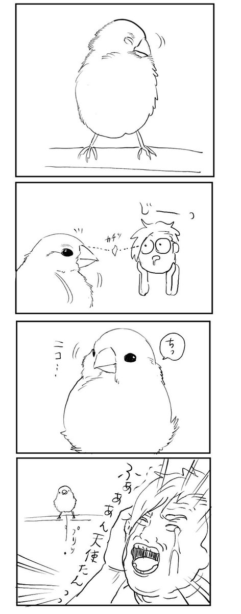 バズったついでに普段描いてる鳥漫画なども見てってください 