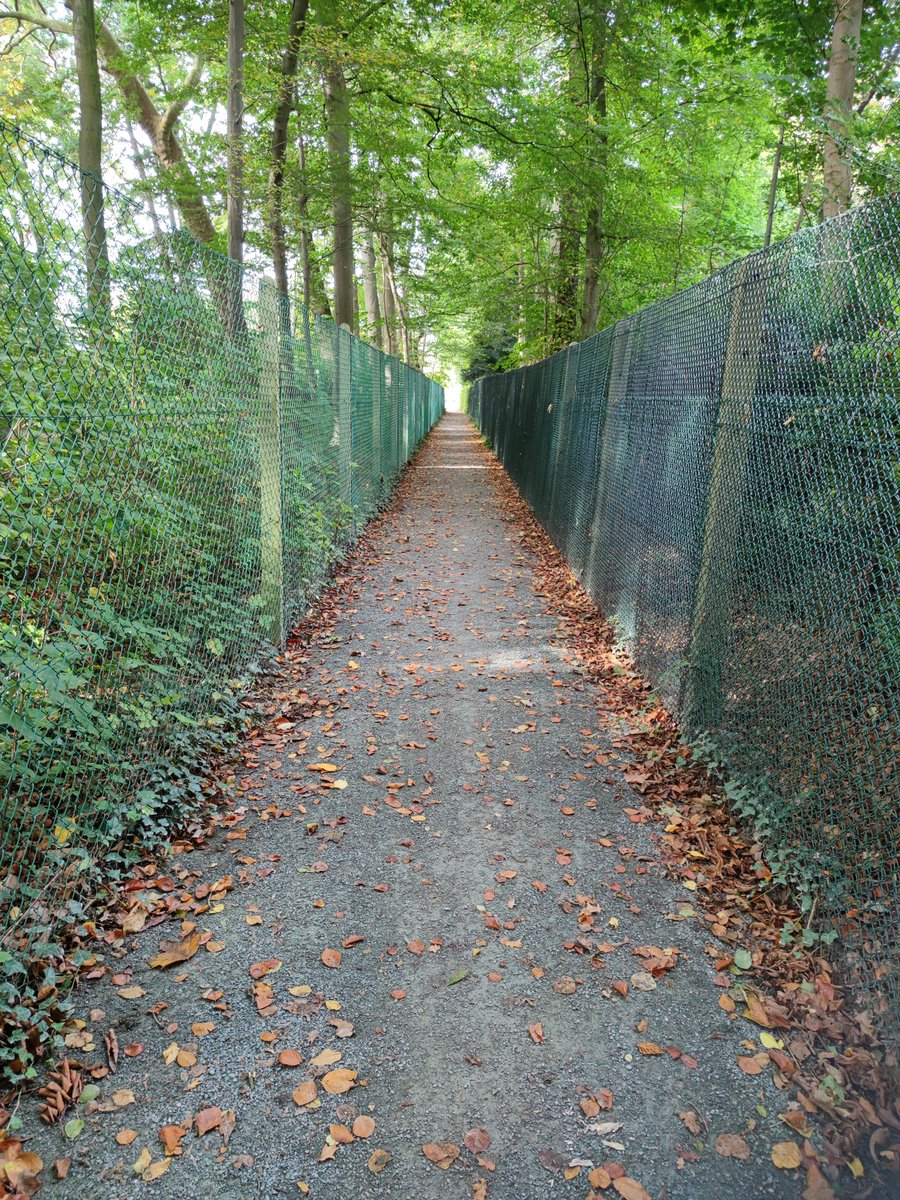 GrietTobback's tweet photo. Wegjes wandeling... geen kat tegengekomen = luidop meezingen
#5fingersdeathpunch
#pearljam
#kensington
#imagendragons
... https://t.co/NMmmNylAGc