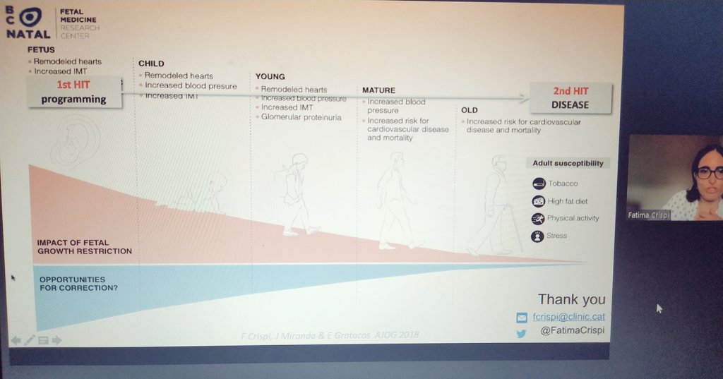 Kenny Araujo tweet media