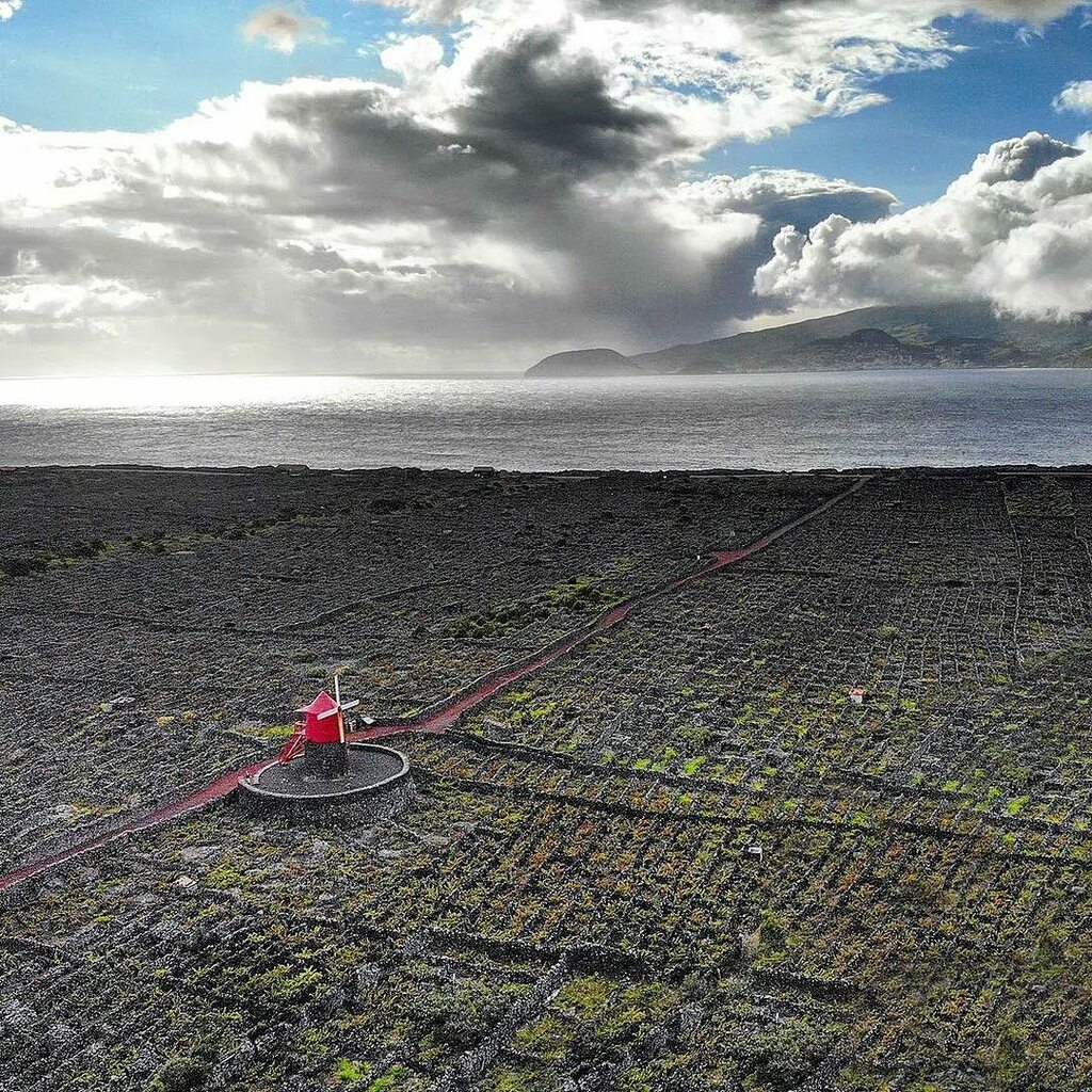AzoresWhatElse's tweet photo. Photo by @azory.info Pico island Vineyards with a Faial island on the horizon. Zapraszam na link w bio. Przewodnik część II.
🇵🇹❤️🍍🌴 #azory #archipelag #atlantyk #nineislands #azorean #ig_photooftheday #ig_world #islands #azorean🇵🇹❤️🍍🌴 #photography #seascape #trending… https://t.co/6X8DkI43Yo