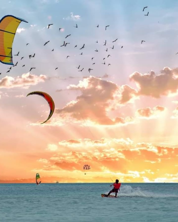 PTT Carina Doesburg tweet media