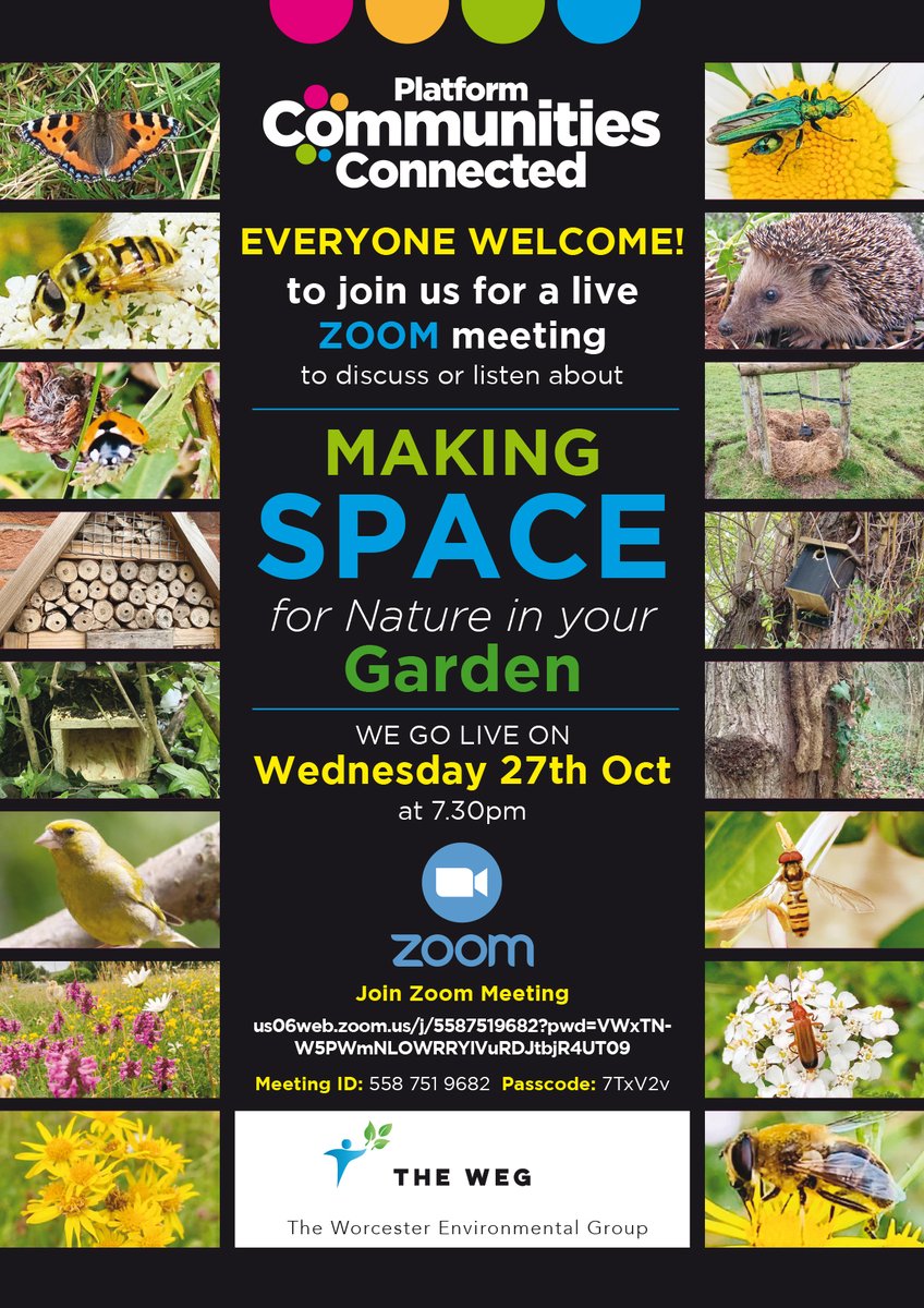 PlatformHousing's tweet photo. Want to attract wildlife to your garden? Join us for a live zoom meeting!

#platformconnected #ConnectWithYourEnvironment https://t.co/Y2H76WK1SH