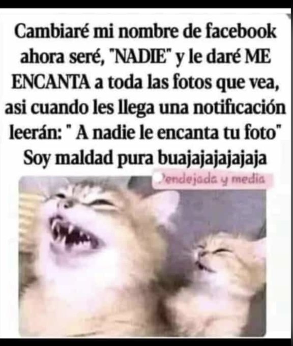 Soy pura maldad😈 https://t.co/yju044eedy<a href="/tag/marbellavice"class="tags"><span>#marbellavice</span></a>