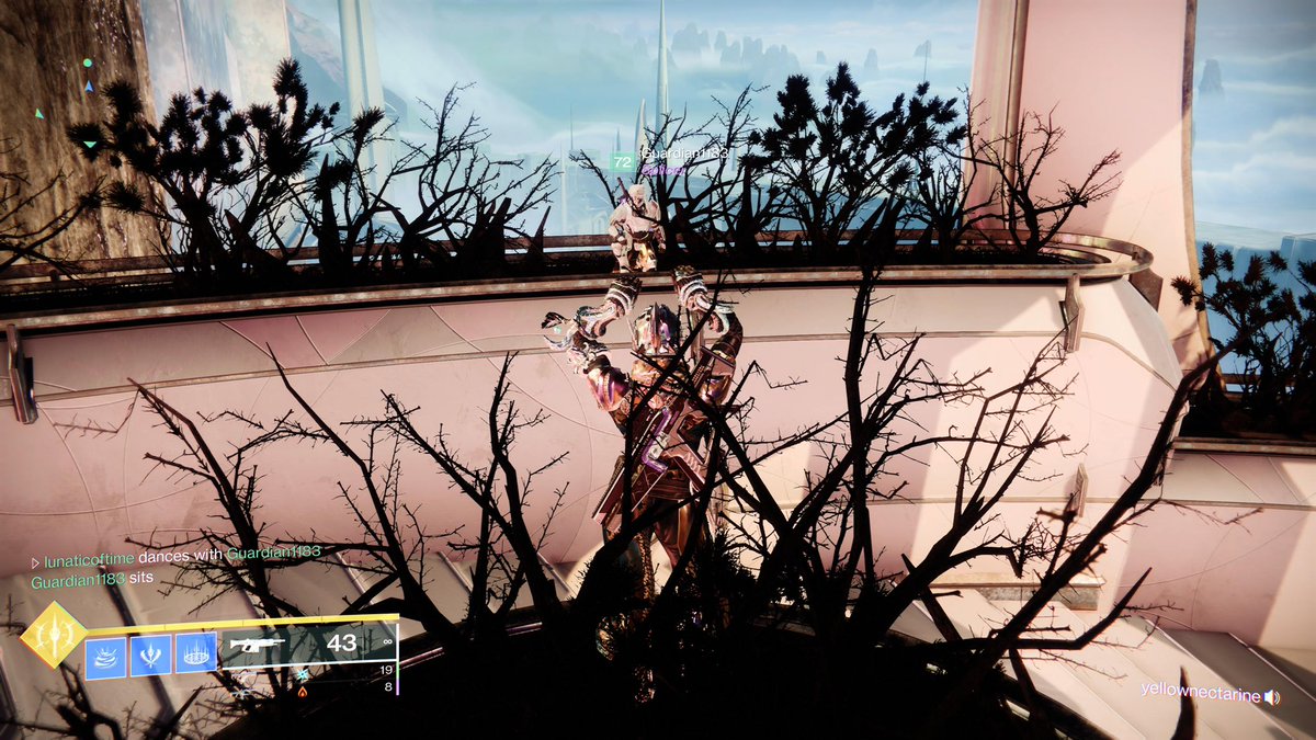 lunaticoftime's tweet photo. Did a teaching run for last wish where I got to help teach. We even got a 1k drop for him. Such a fun raidπ love raiding with my clan #Destiny2 #raidingindestiny #teachingraid https://t.co/jTC5iA0rpp
