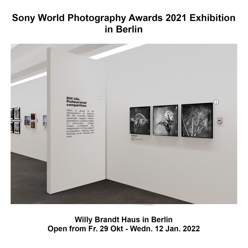 My photography will also be in the Sony World Photography Awards 2021 exhibition in Berlin! Willy Brandt Haus, Berlin. Open on Oct 29 at 12:00 hour. #visit_berlin <a href="/visitberlin/">visitBerlin</a> <a href="/BerlinTourism/">visitBerlin</a> #worldphotoorg #swpa2021