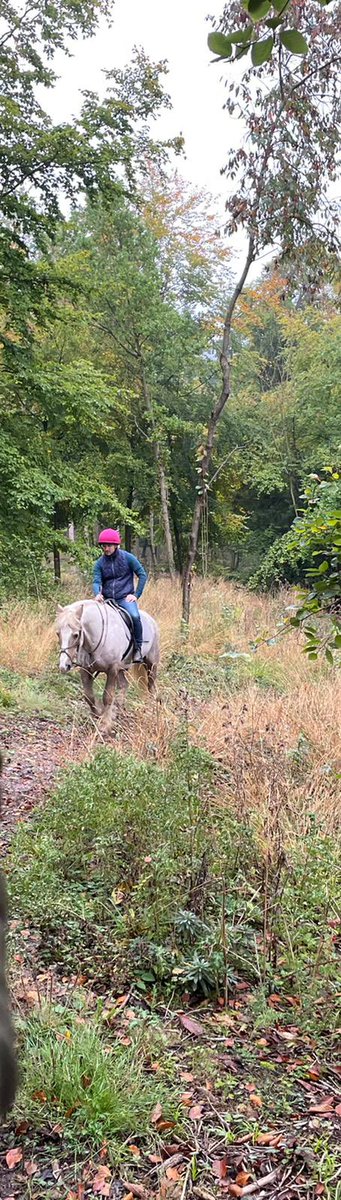 DanStrangetv's tweet photo. It’s been a while since I’ve been out for a hack … super to be back on a horse again thanks @Brewski26 … https://t.co/OgVOOkKwwj