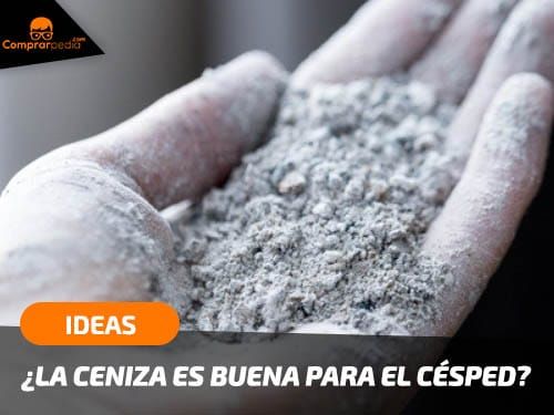 comprarpedia's tweet image. #Domingo de barbacoa... ¿qué vas a hacer con la ceniza? ¡No la tires! buff.ly/3Dv8SFL