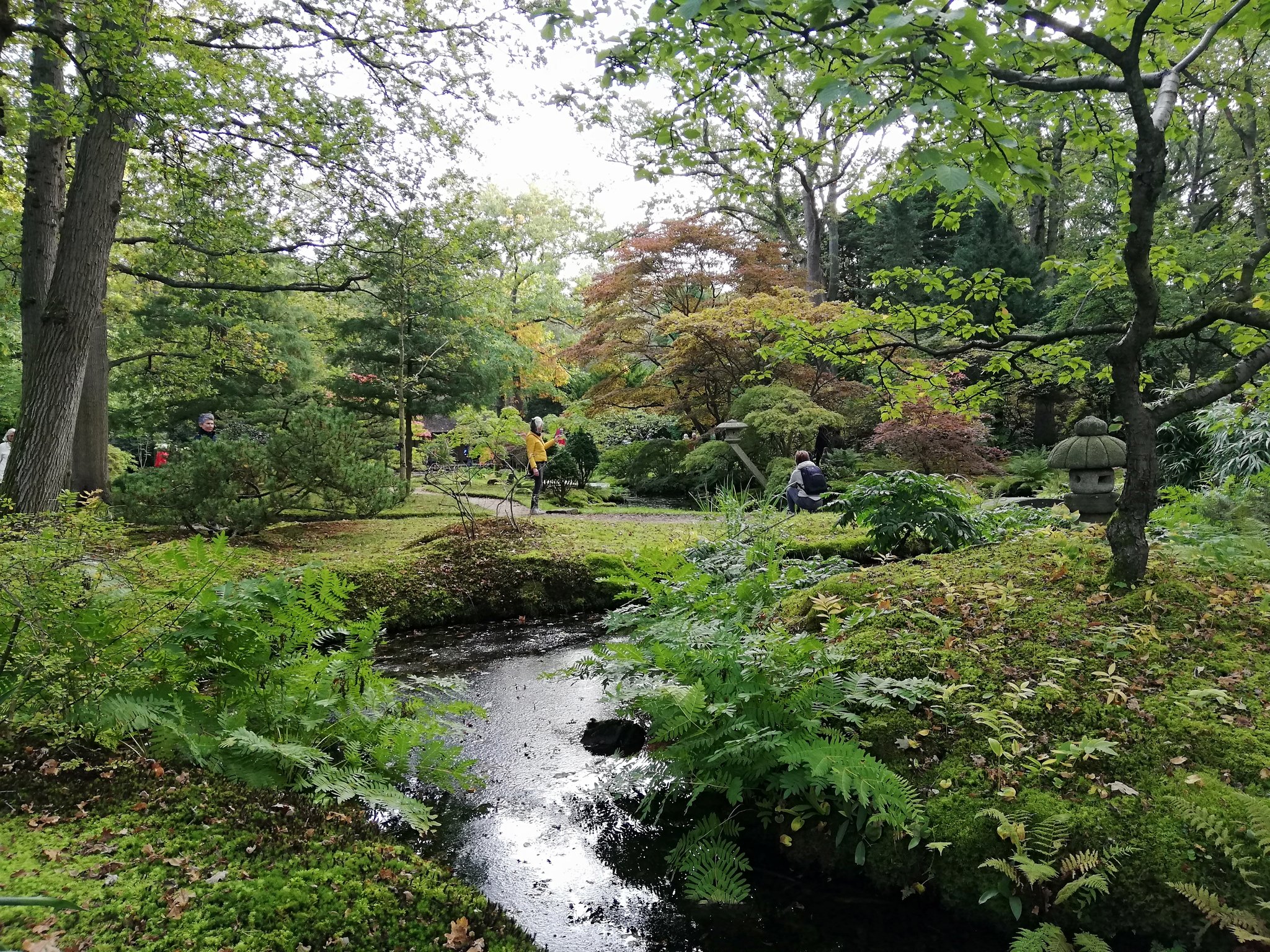 Acupuncture Waran ハーグの日本庭園 に一時帰国 年に数週間しか公開されないので朝から中々の人手 なるべく人が入らないように撮ったら日本庭園感がなくなってしまった T Co Lyh5rivpx2 Twitter Acupuncture Waran ハーグの日本庭園 に一時帰国 年に数週間しか公開されないので朝から中々の人手 なるべく人が入らないように撮ったら日本庭園感がなくなってしまった T Co Lyh5rivpx2 Twitter