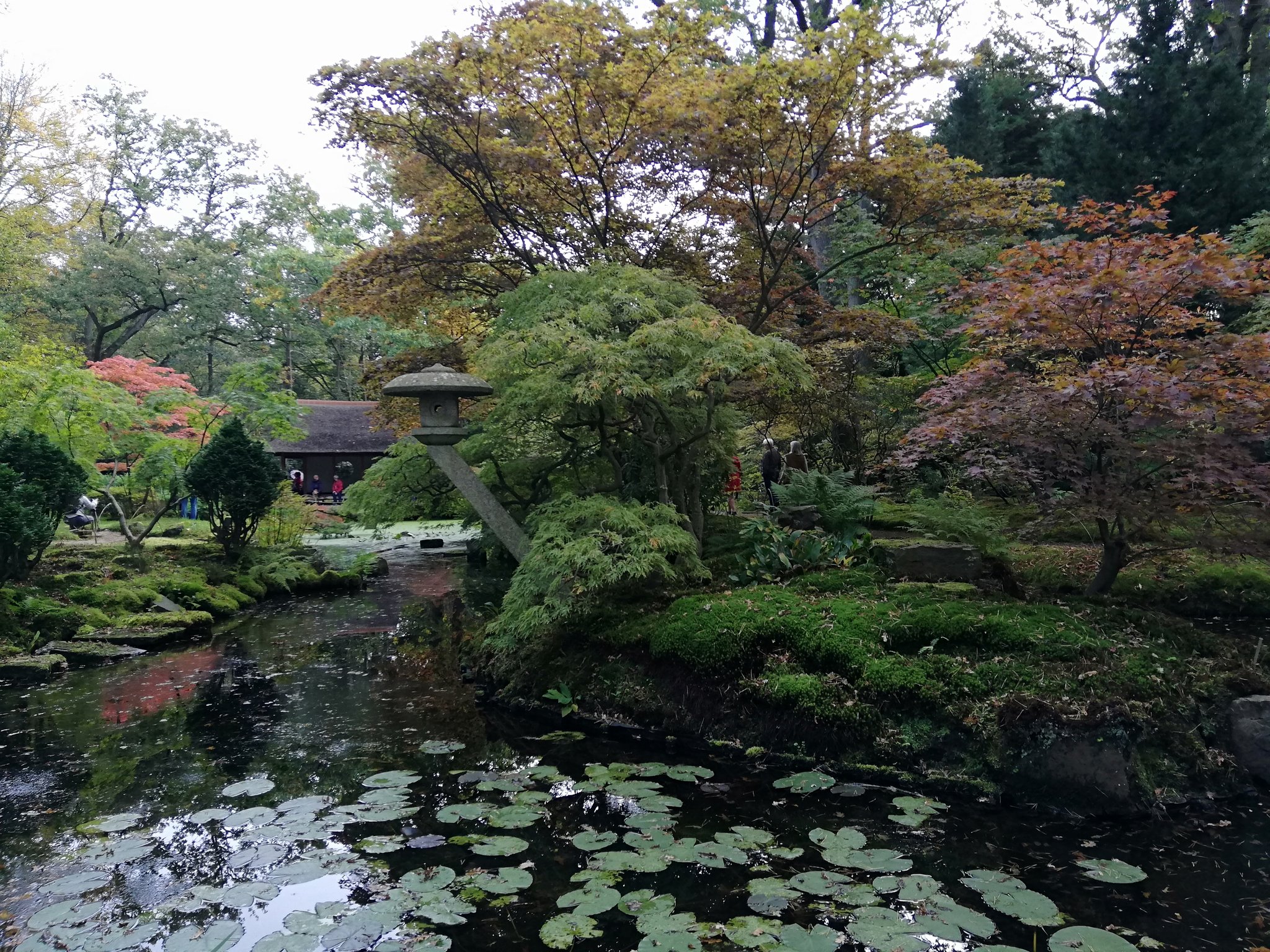 Acupuncture Waran ハーグの日本庭園 に一時帰国 年に数週間しか公開されないので朝から中々の人手 なるべく人が入らないように撮ったら日本庭園感がなくなってしまった T Co Lyh5rivpx2 Twitter