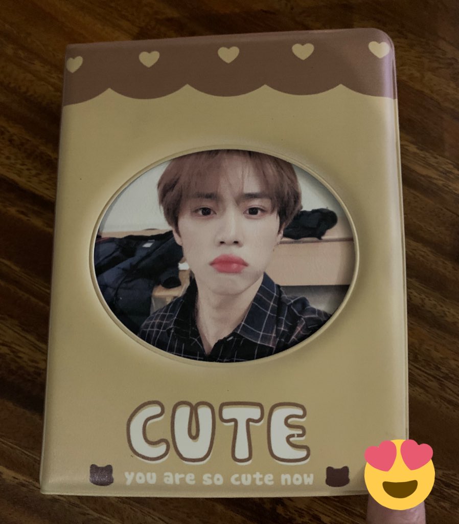 dinoscart's tweet photo. received the collectbook and it looks so pretty! ππ will order again from the bff next batch ππ» #lianproof @bbangcarts https://t.co/C4klsaX9d2